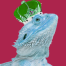 GitHub Avatar for alizardguy